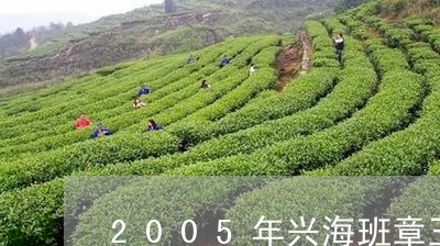 2005年兴海班章王/2023061132815