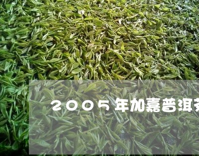 2005年加嘉普洱茶/2023100535169