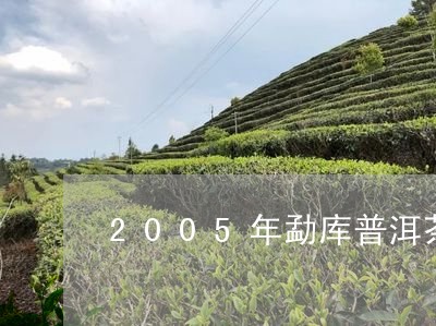 2005年勐库普洱茶/2023100659637