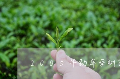 2005年勐库母树茶/2023071570482