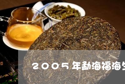 2005年勐海福海生茶班章/2023052771947