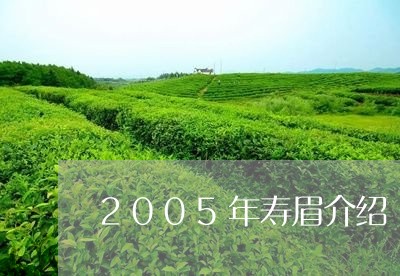 2005年寿眉介绍/2023120479470