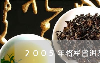 2005年将军普洱茶/2023100892269