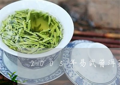 2005年易武普洱茶/2023062550794