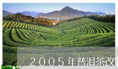 2005年普洱茶改制/2023062828613