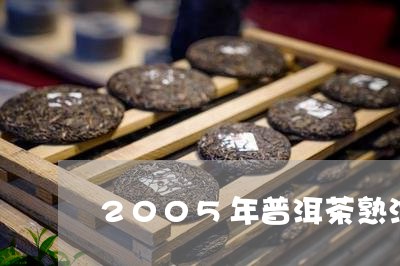 2005年普洱茶熟沱/2023062585037