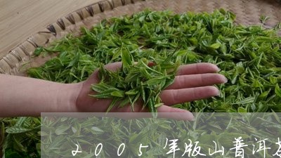 2005年版山普洱茶/2023063062724