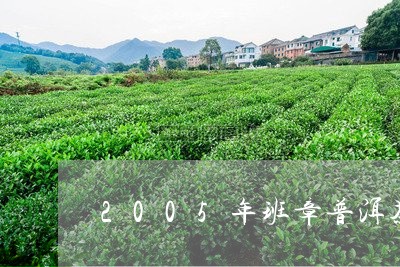 2005年班章普洱茶/2023062797069