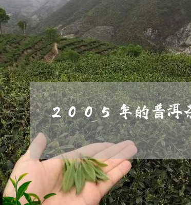 2005年的普洱茶价格/2023050615826