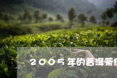 2005年的普洱茶值/2023080169371