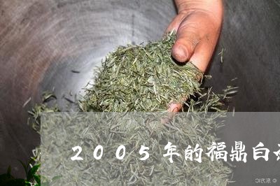 2005年的福鼎白茶/2023092025258