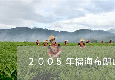 2005年福海布朗山野生大树茶/2023060259270