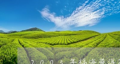 2005年福海普洱茶最新价格/2023102507281