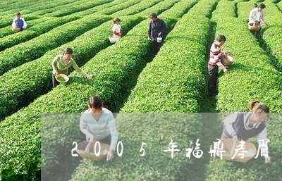 2005年福鼎寿眉/2023120543140