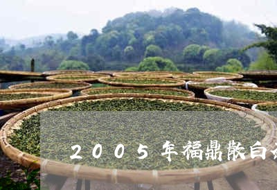 2005年福鼎散白茶饼/2023092100481