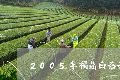 2005年福鼎白茶茶饼/2023092176138