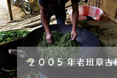 2005年老班章古树/2023092495946