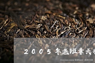 2005年老班章天福老班章青饼/2023060341626