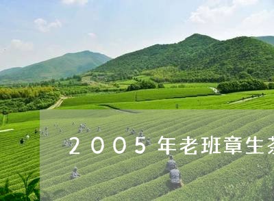 2005年老班章生茶价格生茶熟茶/2023060376038