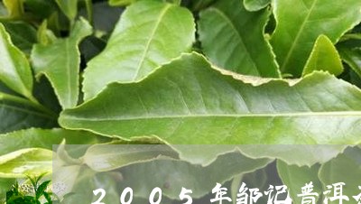 2005年邹记普洱茶/2023080191736