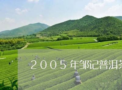 2005年邹记普洱茶/2023100569684