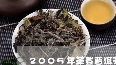 2005年革登普洱茶/2023100635360