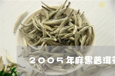 2005年麻黑普洱茶/2023080201614