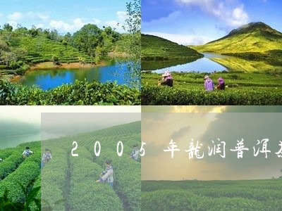 2005年龙润普洱茶/2023080146059