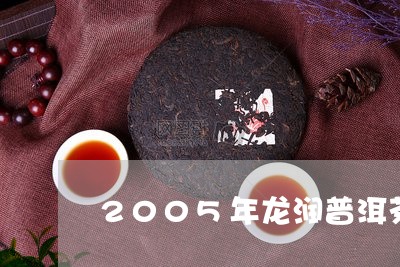 2005年龙润普洱茶/2023100675028