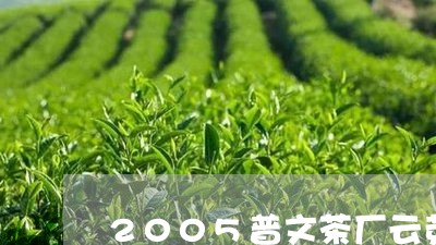 2005普文茶厂云芽/2023071694048