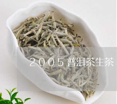 2005普洱茶生茶/2023071012695