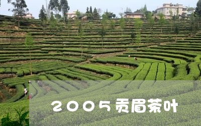 2005贡眉茶叶/2023090705846