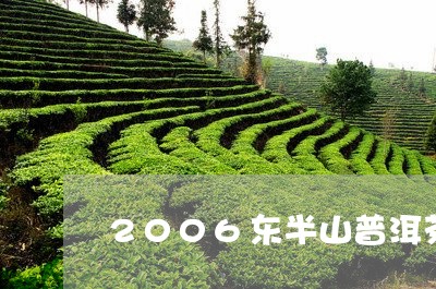 2006东半山普洱茶/2023062705516