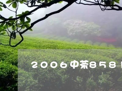 2006中茶8581普洱茶/2023052737260