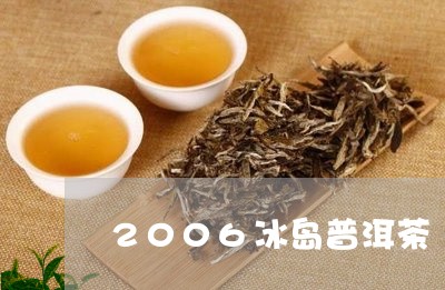 2006冰岛普洱茶/2023071103836