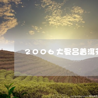 2006大曼吕普洱茶/2023100686171