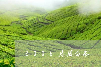 2006寿眉白茶/2023090834957