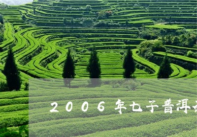 2006年七子普洱茶饼价格/2023052941797