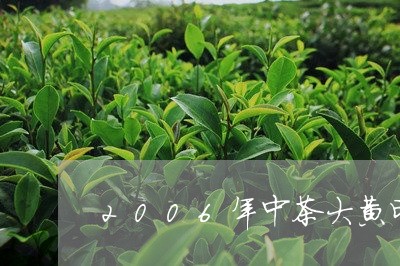 2006年中茶大黄印/2023071585258