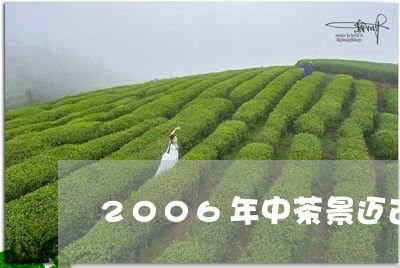 2006年中茶景迈古树圆茶/2023052716960