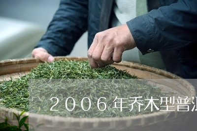 2006年乔木型普洱古茶饼价位/2023060394079