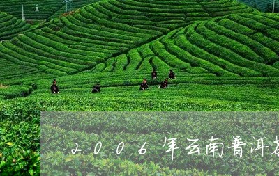 2006年云南普洱茶生肖饼/2023110264138