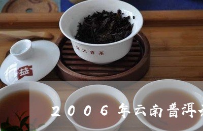 2006年云南普洱茶银奖/2023112543726