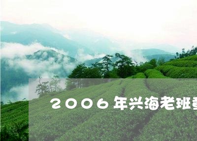 2006年兴海老班章/2023092453717