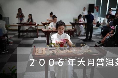 2006年天月普洱茶/2023080226170