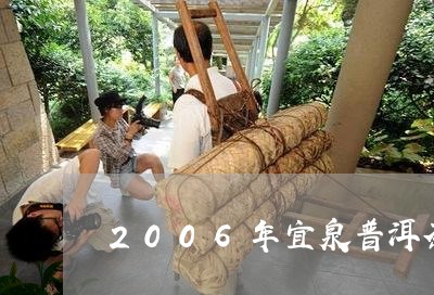 2006年宜泉普洱茶/2023100546483