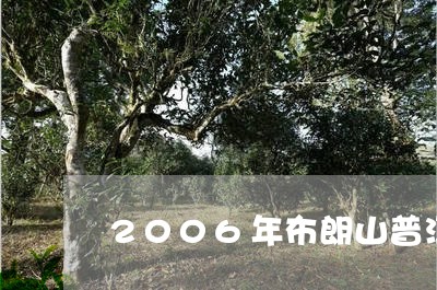 2006年布朗山普洱茶价格/2023052963826