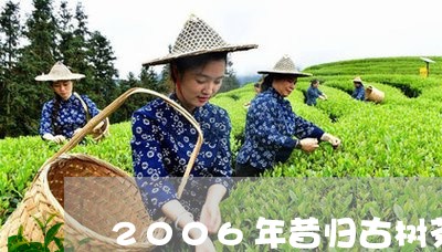 2006年昔归古树茶/2023071652615