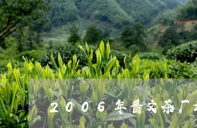 2006年普文茶厂云芽一号生茶/2023060159503