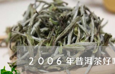 2006年普洱茶好吗/2023080311625